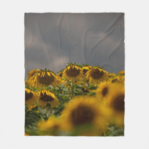 SELEKTIVE FOCUS FOTOGRAFIE DER GELBEN SONNENBLUMEN FLEECEDECKE