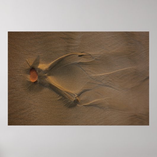 Selektive Fokusfotografie von Sand Poster (Vorne)