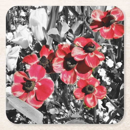 Selektive Schönheit - Anemonenblüten Papier-Unters Rechteckiger Pappuntersetzer (Vorderseite)