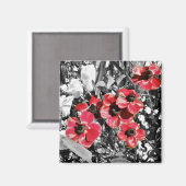 Selektive Schönheit - Magnet für Anemonenblüten (Vorderseite/Rückseite)