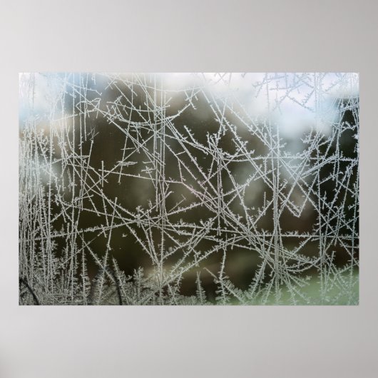 Selektiver Fokus von Schneeflocken Poster (Vorne)