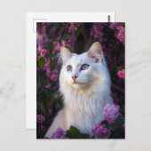 Selene die türkische Angora-Katze-Postkarte Postkarte (Vorne/Hinten)