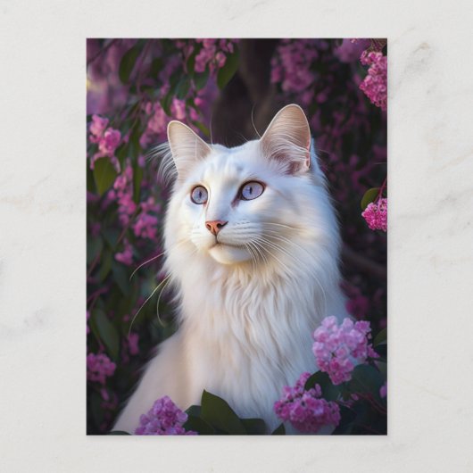 Selene die türkische Angora-Katze-Postkarte Postkarte (Vorderseite)
