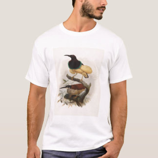 Seleucides alba - zwölf verdrahten Paradiesvogel T-Shirt