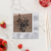 Selfie der Mars Neugier Roter Marsch Landschaft Serviette (Beispiel)