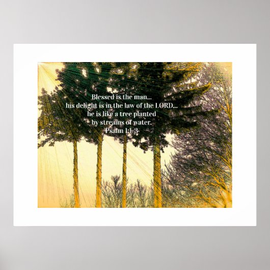 Selig ist der Mann Poster (Vorne)