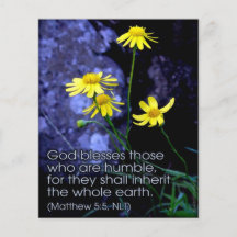 Selig sind die Meere