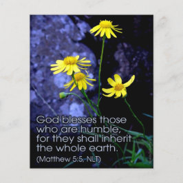 Selig sind die Meere Flyer