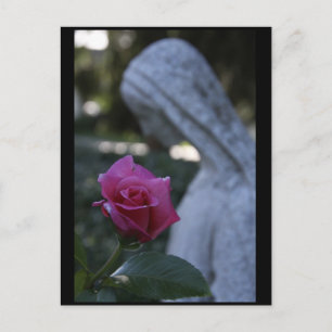 Selige Jungfrau Maria und die Rose Postkarte