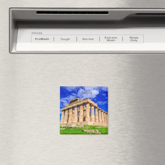 Selinunte Tempel auf Sizilien Magnet (In Situ (Geschirrspüler))