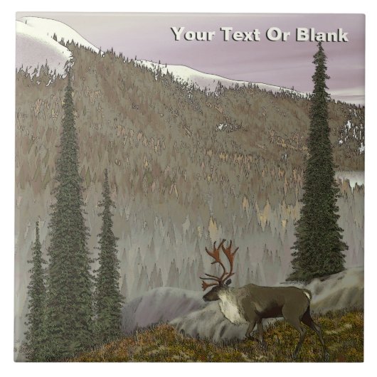 Selkirk Caribbean Fliese (Vorderseite)