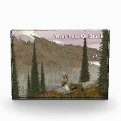 Selkirk Caribbean Fotoblock (Vorderseite)