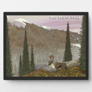 Selkirk Caribbean Fotoplatte