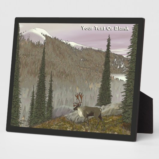 Selkirk Caribbean Fotoplatte (Seite)