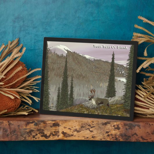 Selkirk Caribbean Fotoplatte (Seite)