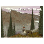 Selkirk Caribbean Fotoskulptur Magnet<br><div class="desc">Ein bewölkter Frühlingstag findet einen Waldkaribu (Rangifer tarandus) in dem bergigen, koniferen Gelände, das typisch für das in den Bergen von Süd-British Columbia, Nord-Idaho und Nordosten Washingtons, wo eine winzige Population dieser Tiere überlebt. Fügen Sie Ihren eigenen Text hinzu. Es gibt noch weniger als dreißig Tiere, die als internationale Selkirk-Population...</div>