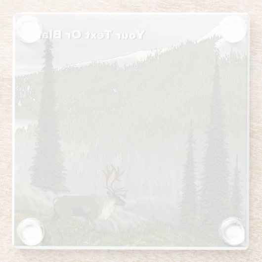 Selkirk Caribbean Glasuntersetzer (Rückseite)