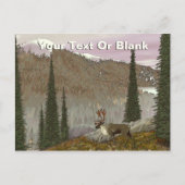 Selkirk Caribbean Postkarte (Vorderseite)