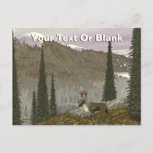 Selkirk Caribbean Postkarte (Vorderseite)