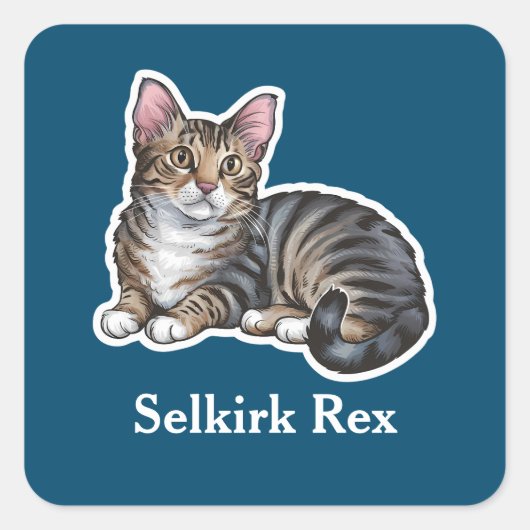 Selkirk Rex Quadratischer Aufkleber (Vorderseite)
