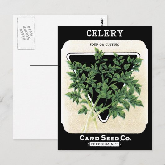 Sellerie Seed Packet Grüner Gemüsegarten Postkarte (Vorne/Hinten)