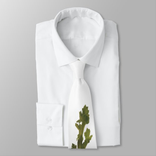 Sellerie-Typ Krawatte (Gebunden)