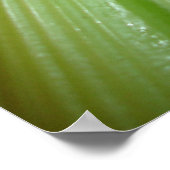 Sellerie und Karrots Poster (Ecke)