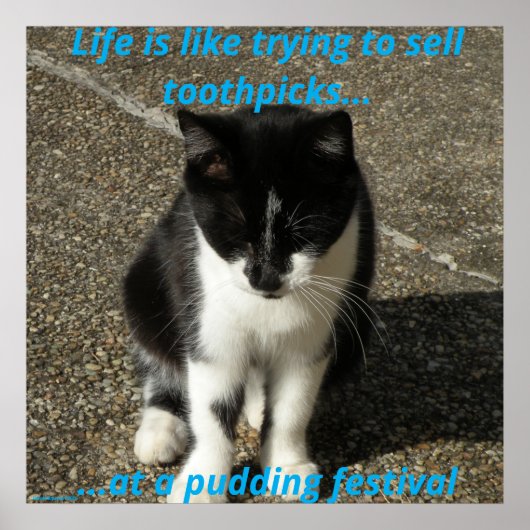 Selling toothpicks at a pudding festival... poster (Vorne)