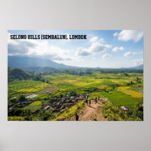 Selong Hill Sembalun Lombok Reisfeld Kunst