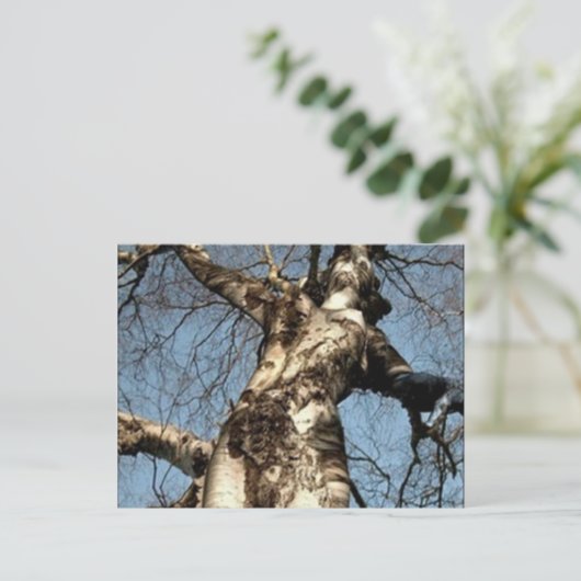 Selrd Stuff Postkarte (Stehend Vorderseite)