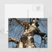 Selrd Stuff Postkarte (Vorne/Hinten)