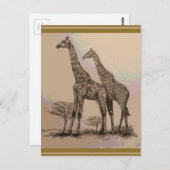 Selten afrikanische Giraffen in Sepia & Pastels Postkarte (Vorne/Hinten)