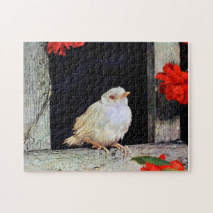 Selten Albinrobin Puzzle