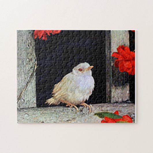 Selten Albinrobin Puzzle (Horizontal)