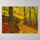 Selten benutzte Straße, Druck Poster (Vorne)