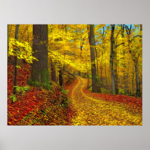 Selten benutzte Straße, Druck Poster