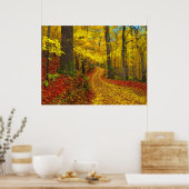 Selten benutzte Straße, Druck Poster (Küche)