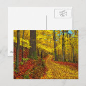 Selten benutzte Straße, Postkarte (Vorne/Hinten)