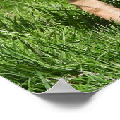 Selten Blaue Deutsche Schäferhunde Poster (Ecke)