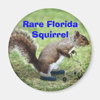 Selten Florida Magnet