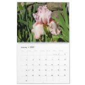 Selten Historischer Iris - Liebeskalender Kalender (Jan 2027)