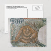 Selten Orangutan Limited Edition Postkarte (Vorne/Hinten)