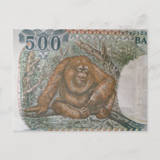 Selten Orangutan Limited Edition Postkarte (Vorderseite)