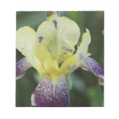 Selten Orchid Notepad Notizblock (Vorderseite)