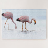 Selten Schöner andanischer Flamingo Pink Bird Chil Puzzle (Horizontal)