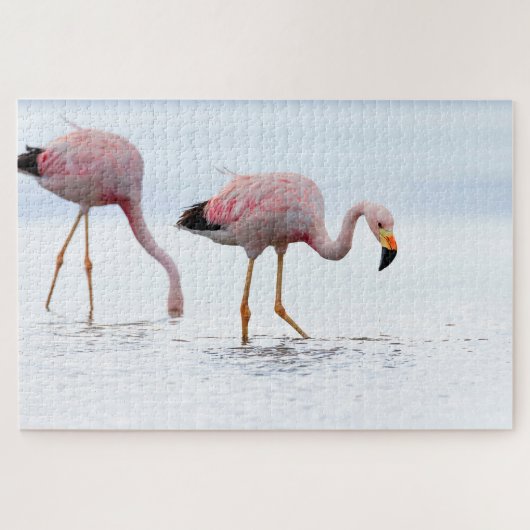 Selten Schöner andanischer Flamingo Pink Bird Chil Puzzle (Horizontal)