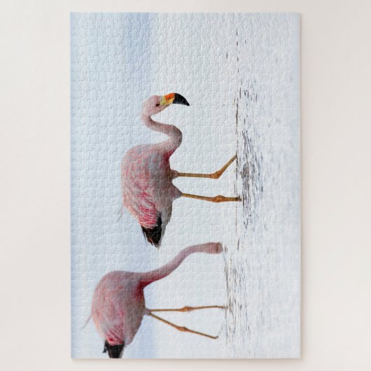 Selten Schöner andanischer Flamingo Pink Bird Chil Puzzle (Vertikal)