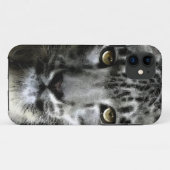 Selten Snow Leopard Big Cat Wildlife iPhone 5 Fall Case-Mate iPhone Hülle (Rückseite (Horizontal))