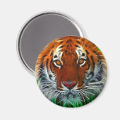 Selten Sumatran Tiger aus Indonesien Magnet (Vorderseite/Rückseite)