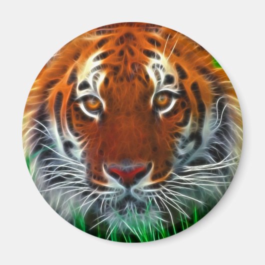 Selten Sumatran Tiger aus Indonesien Magnet (Vorne)